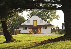 Castle Rock Farm